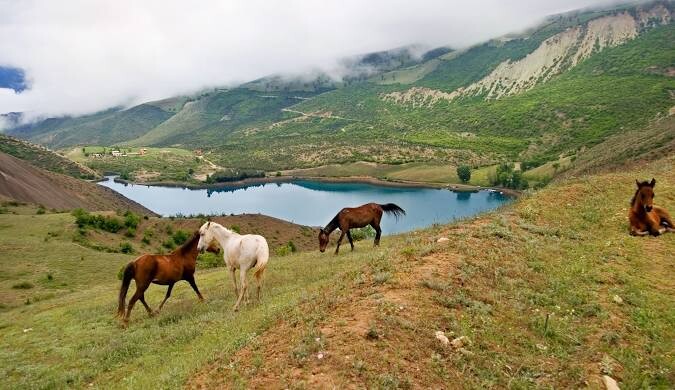 سایبان برقی برای رامسر