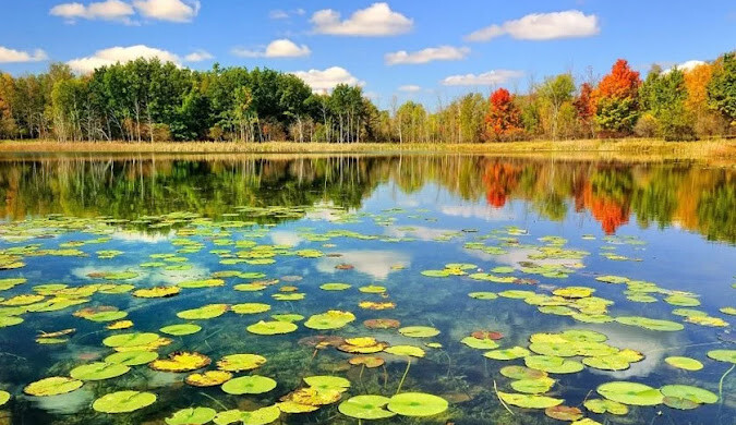 سایبان برقی در تالش